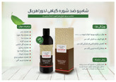 شامپو ضدشوره گیاهی هربال 300 میلیلیتر - مدل لدورا